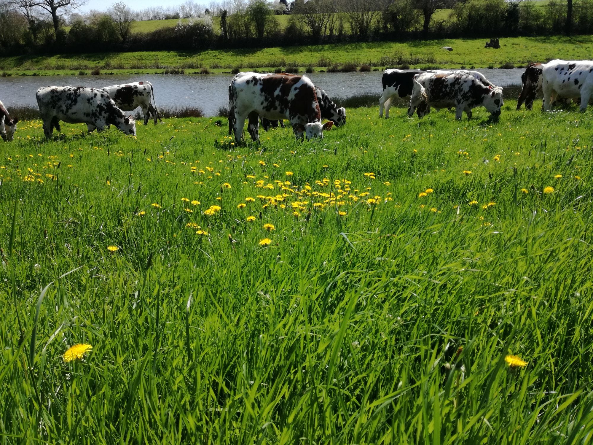 Ferme Sainte Anne 53