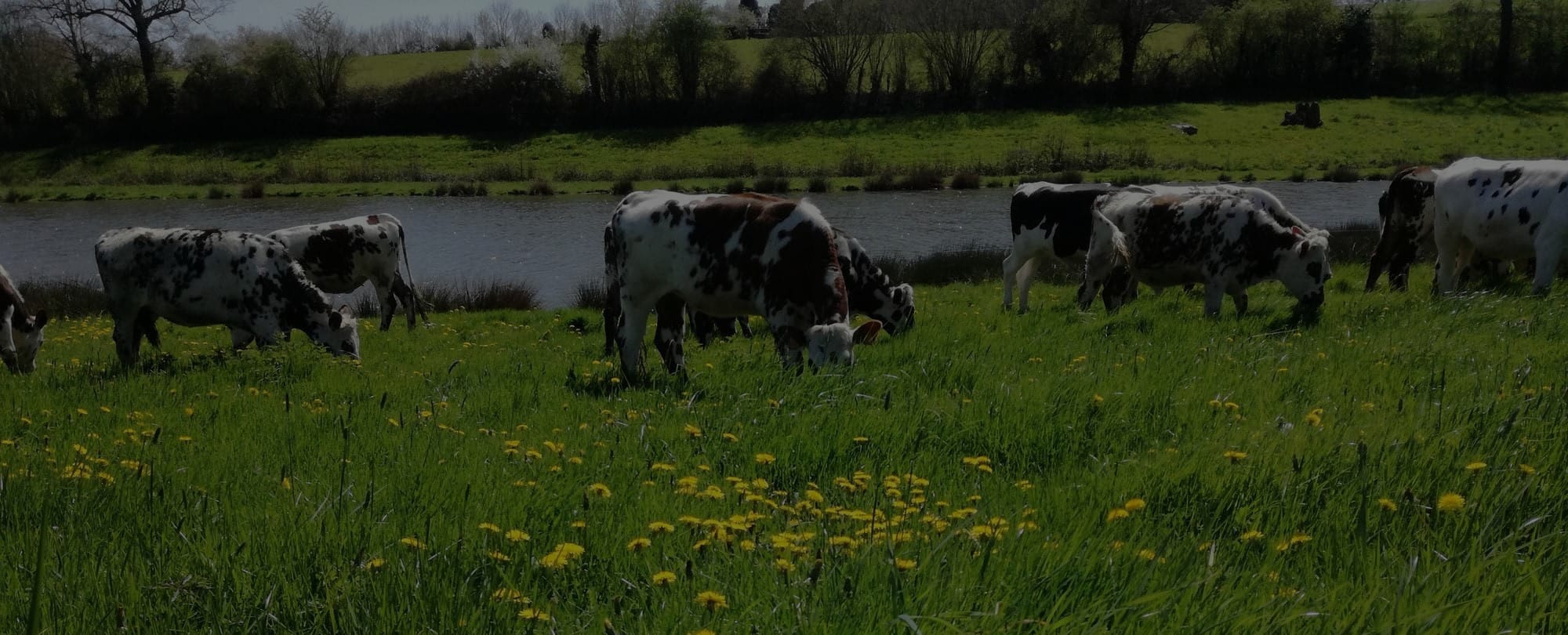 Ferme Sainte Anne 53