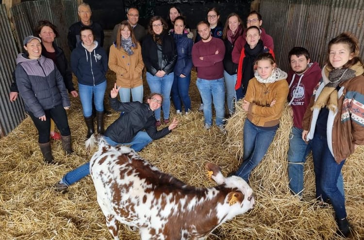 Futurs vétérinaires en visite à la ferme