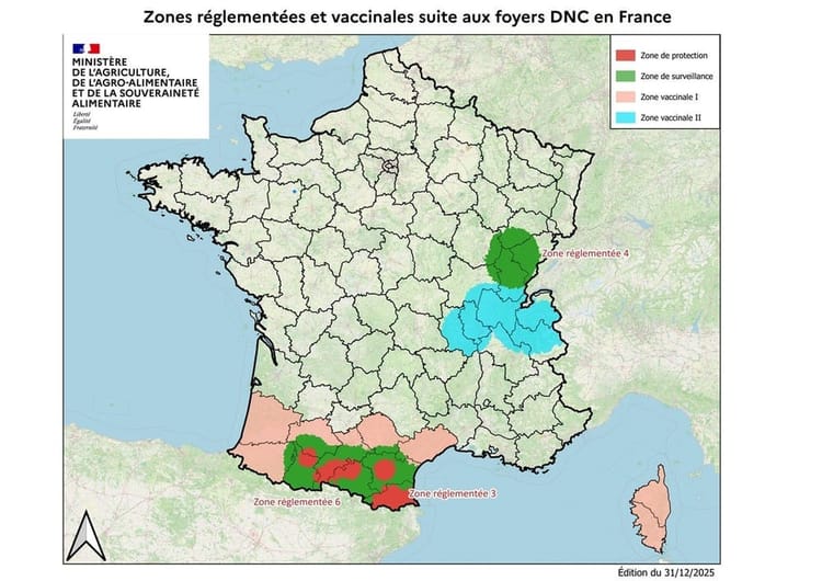 Lettre 3 : DNC, pour mieux comprendre