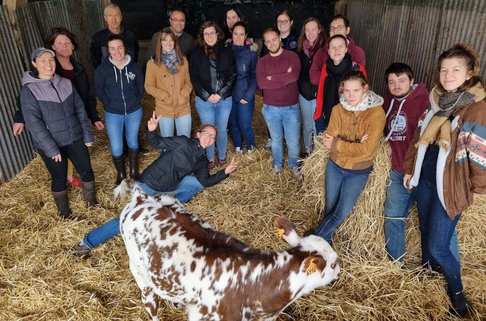 Futurs vétérinaires en visite à la ferme